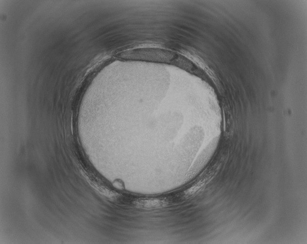 X0000067870253200605111807