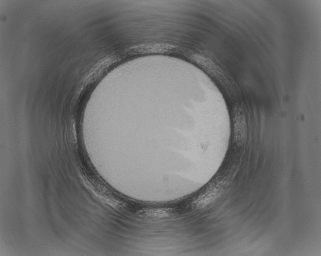 X0000067870254200605111807