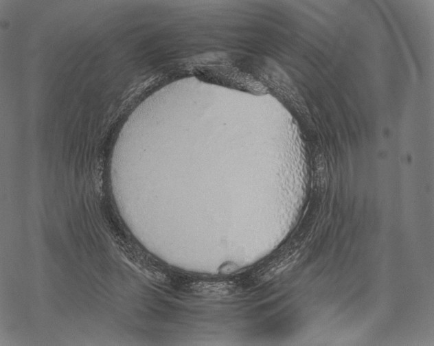 X0000067870255200605111807