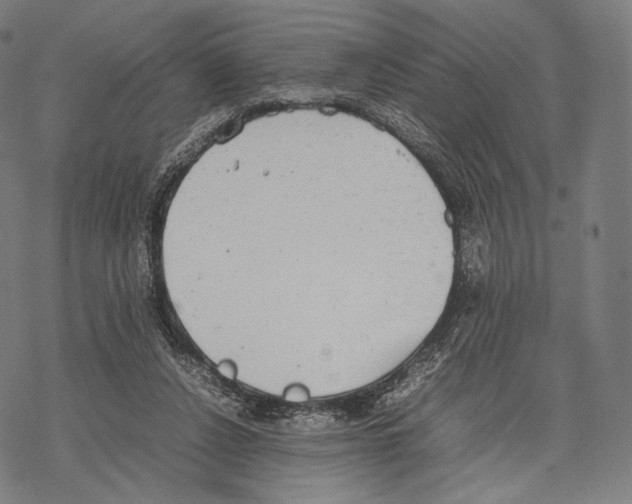 X0000067870256200605111807