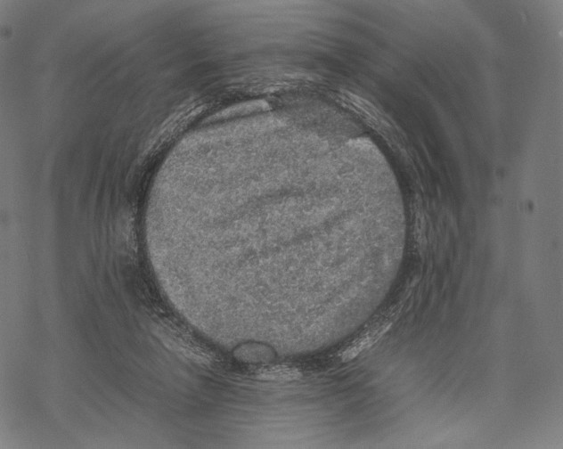 X0000067870258200605111807