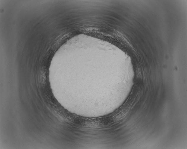 X0000067870259200605111807