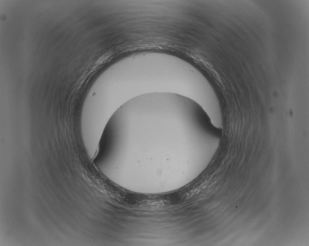 X0000067870260200605111807