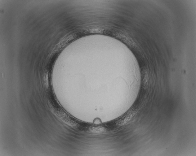 X0000067870262200605111807