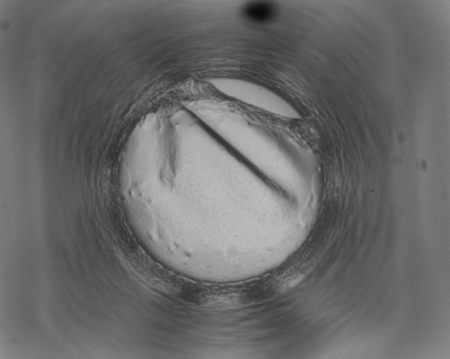 X0000067870263200605111807