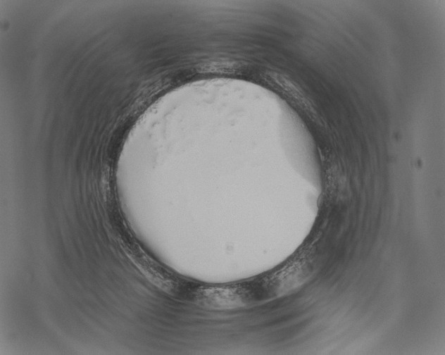 X0000067870265200605111807