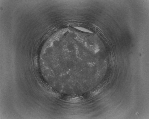 X0000067870267200605111807