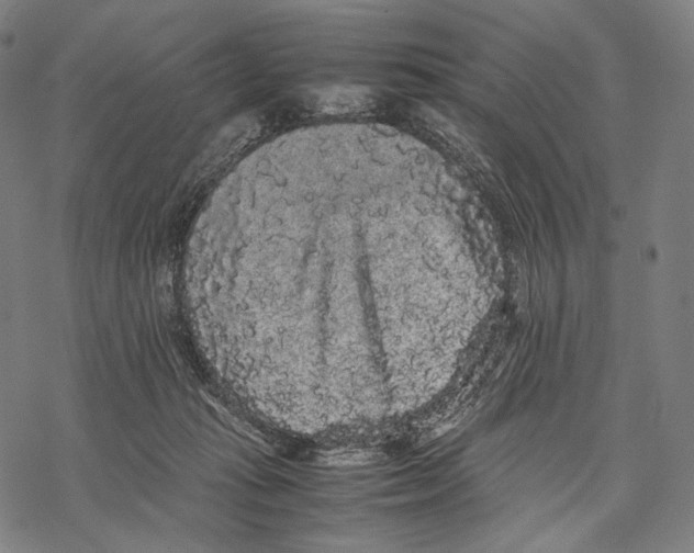 X0000067870269200605111807