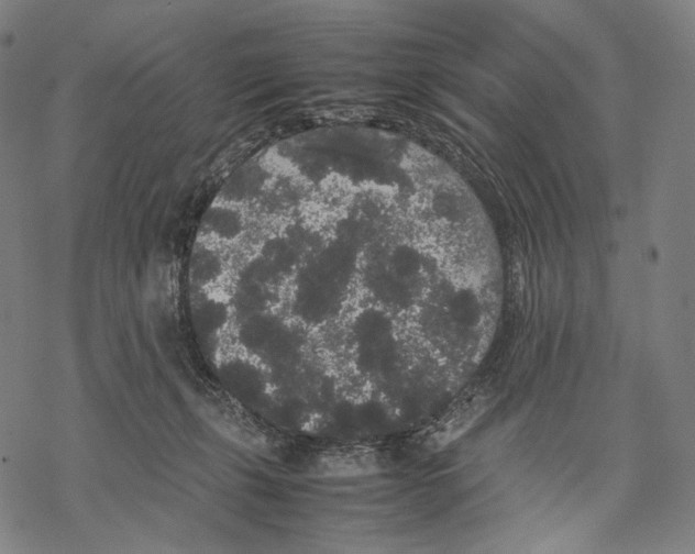 X0000067870271200605111807