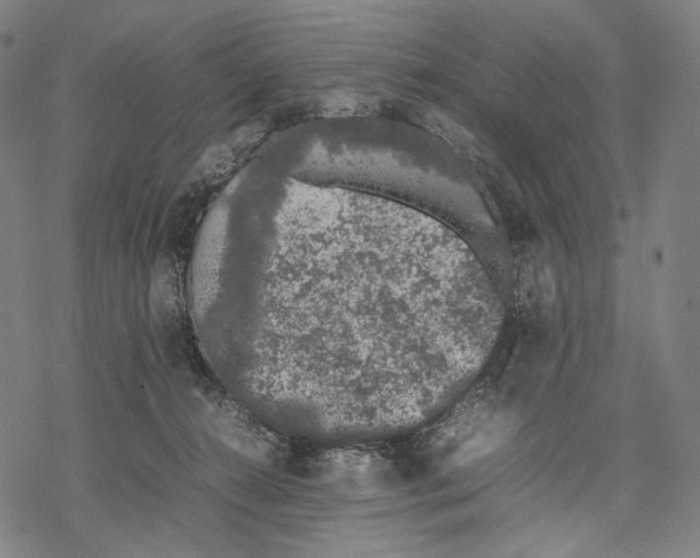 X0000067870272200605111807