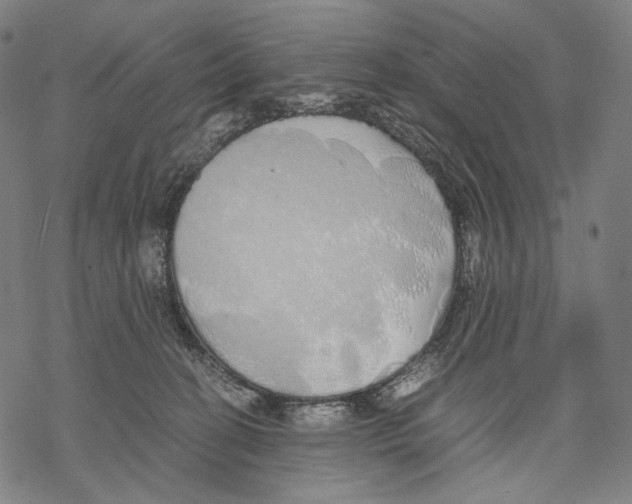 X0000067870274200605111807