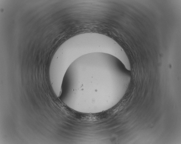 X0000067870276200605111807