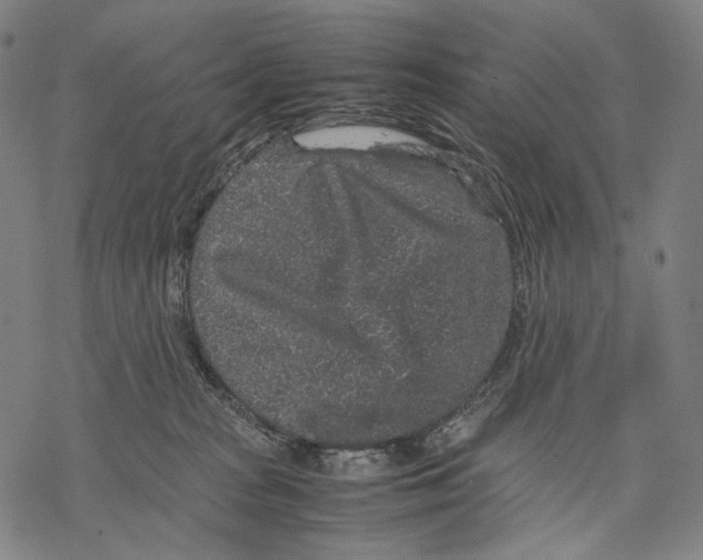 X0000067870277200605111807