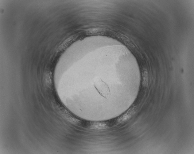 X0000067870278200605111807