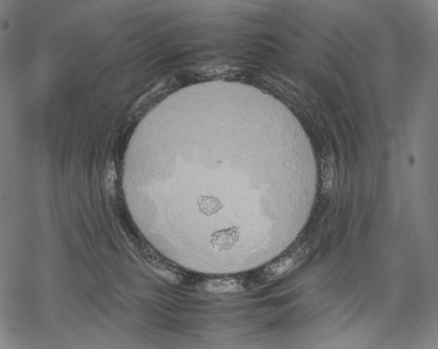 X0000067870279200605111807