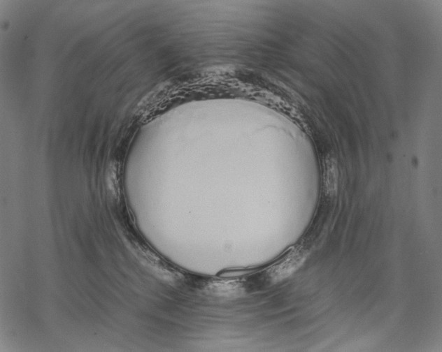 X0000067870280200605111807