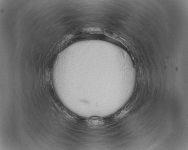 X0000067870281200605111807