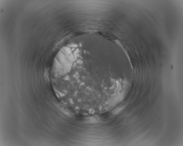 X0000067870286200605111807