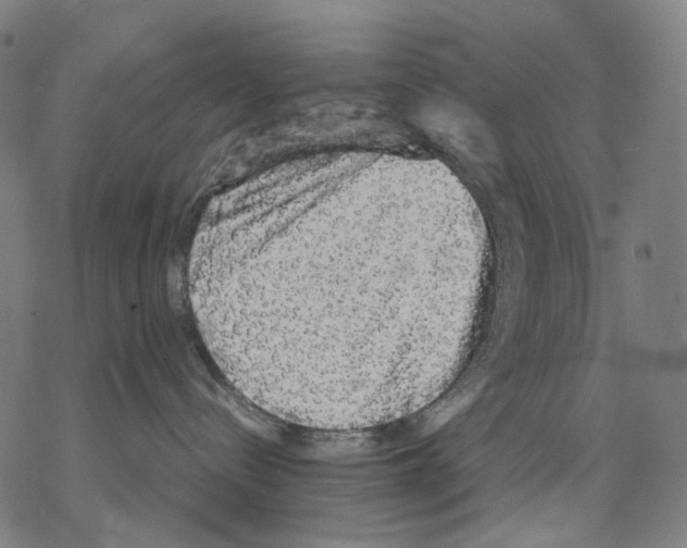 X0000067870288200605111807