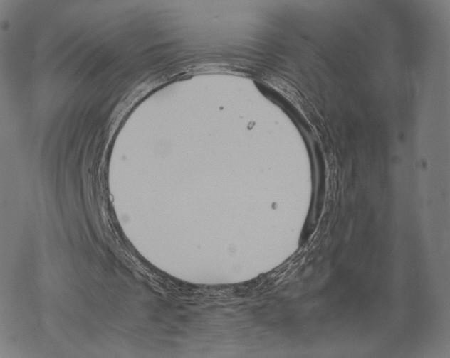 X0000067870289200605111806