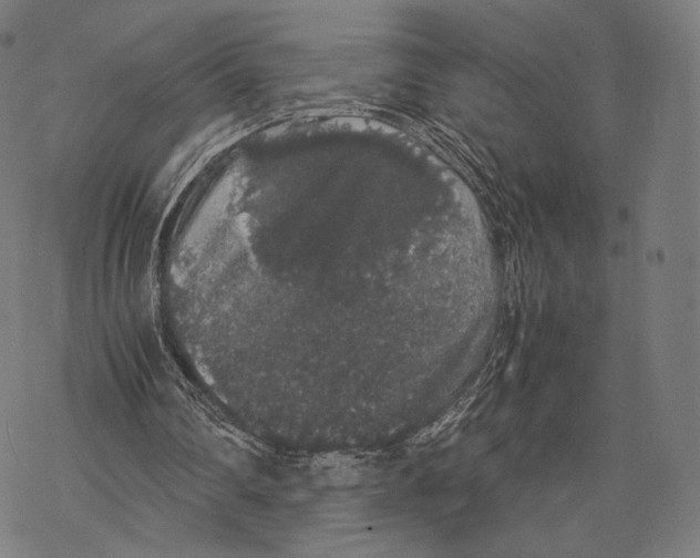 X0000067870290200605111806