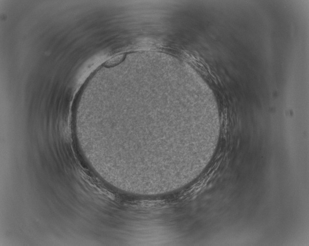 X0000067870292200605111806