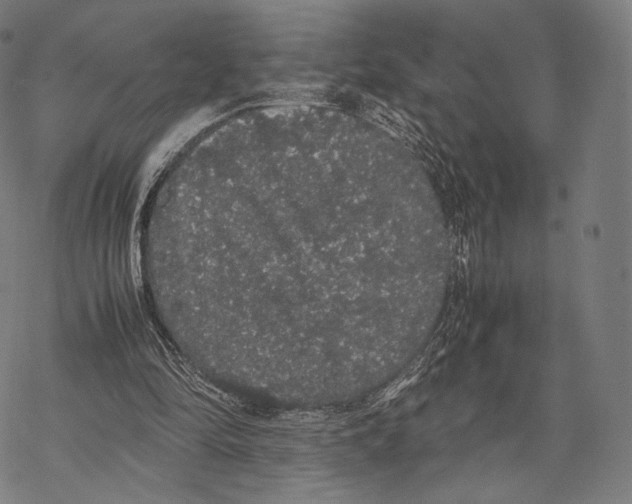 X0000067870294200605111806