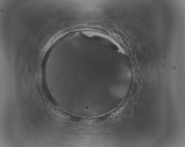 X0000067870295200605111806