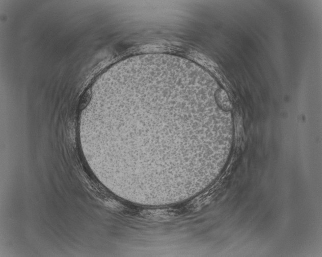 X0000067870297200605111806