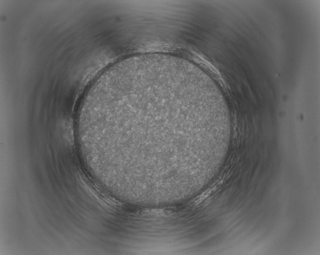 X0000067870298200605111806