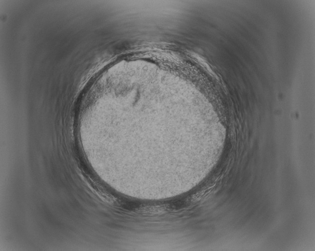 X0000067870299200605111806