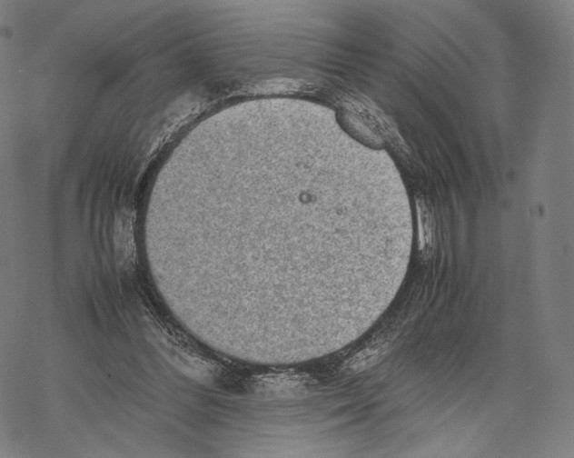 X0000067870300200605111806