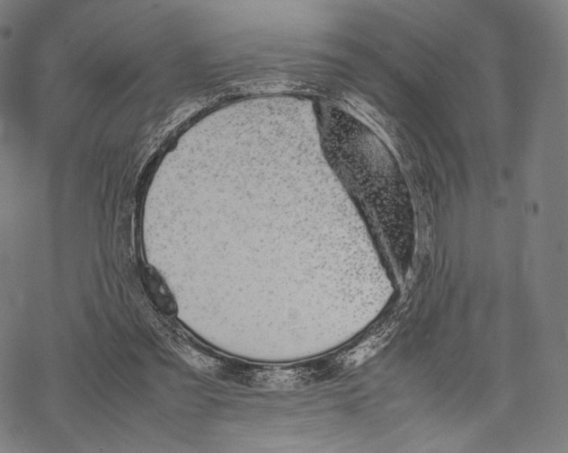 X0000067870301200605111806