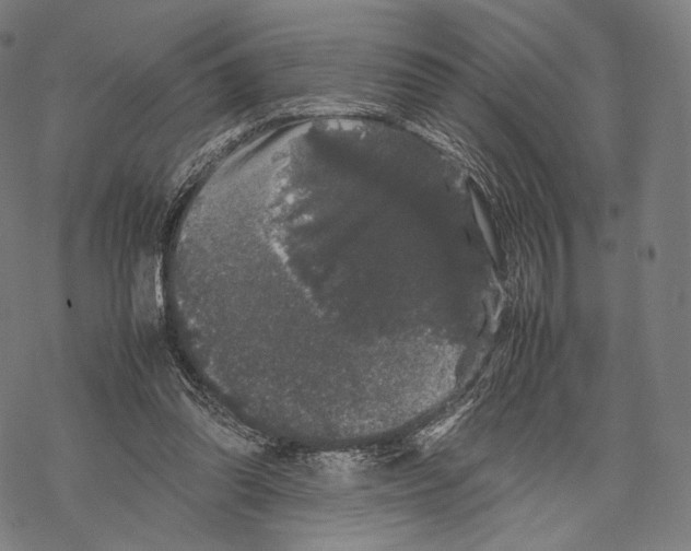 X0000067870302200605111806