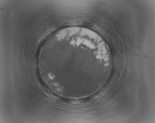 X0000067870303200605111806