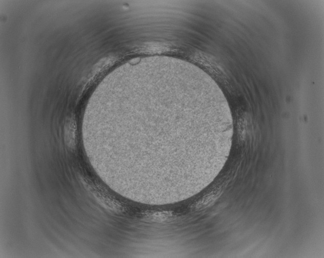 X0000067870304200605111806