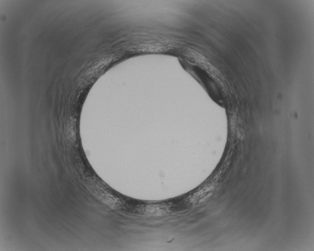 X0000067870305200605111806