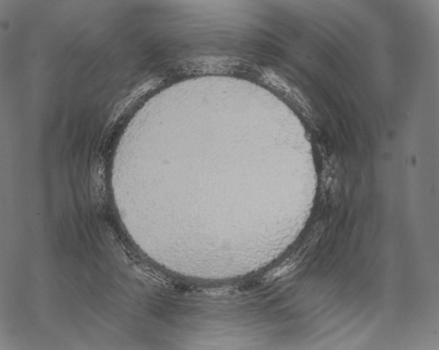 X0000067870306200605111806