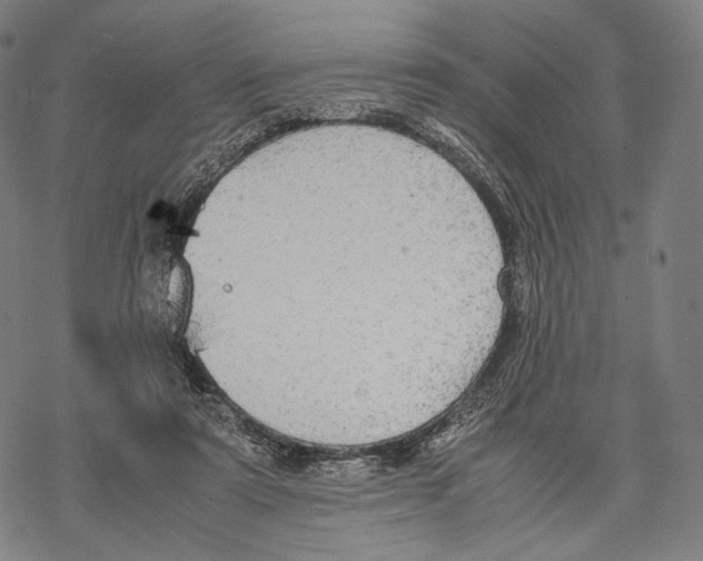 X0000067870307200605111806