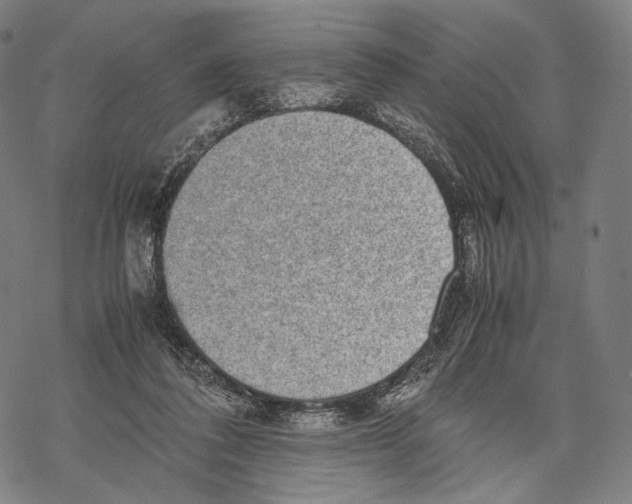 X0000067870308200605111806