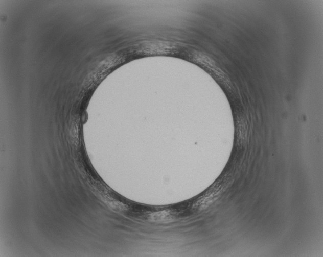 X0000067870309200605111806