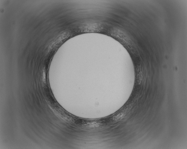 X0000067870310200605111806