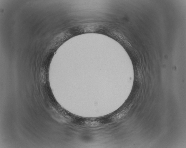 X0000067870311200605111806