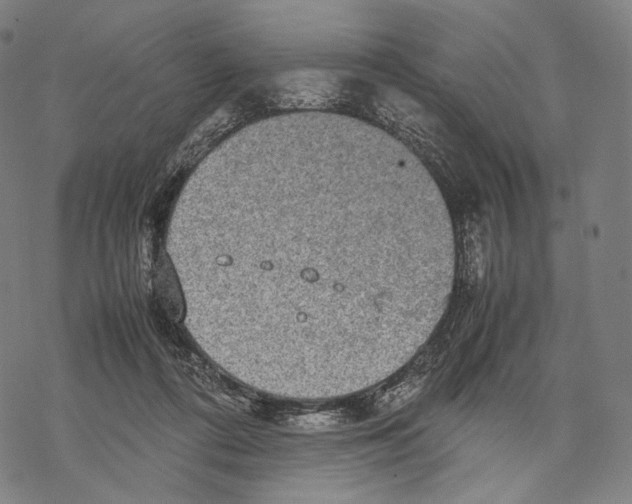 X0000067870312200605111806