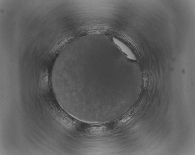 X0000067870314200605111806