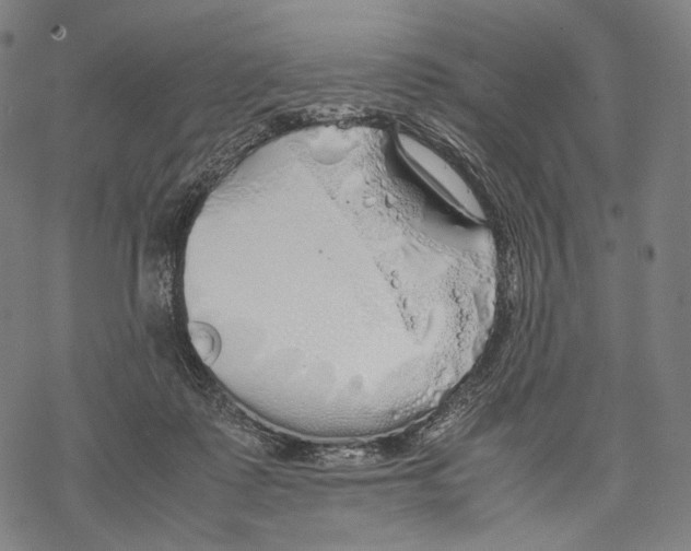 X0000067870315200605111806