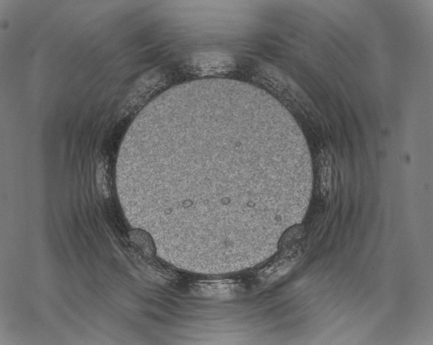 X0000067870316200605111806