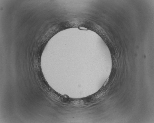 X0000067870317200605111806