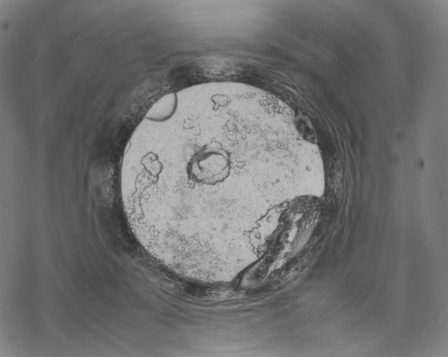 X0000067870319200605111806