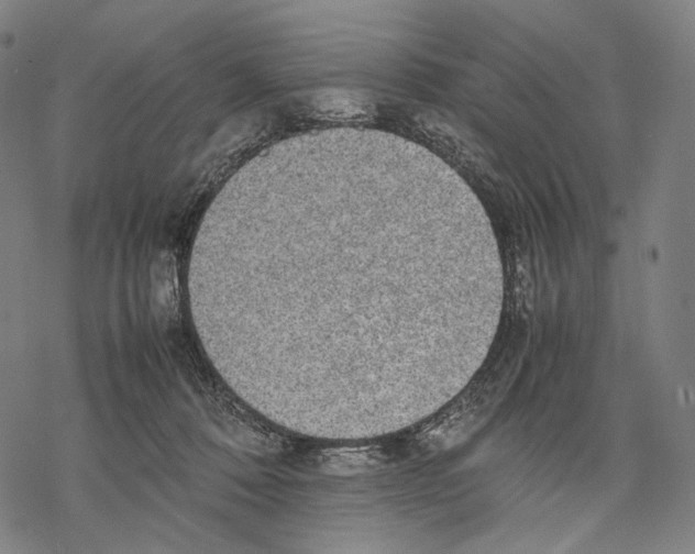 X0000067870320200605111806